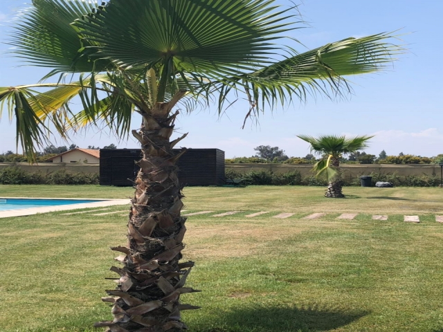 WhatsApp Image 2018-03-27 at 22.51.49.jpeg